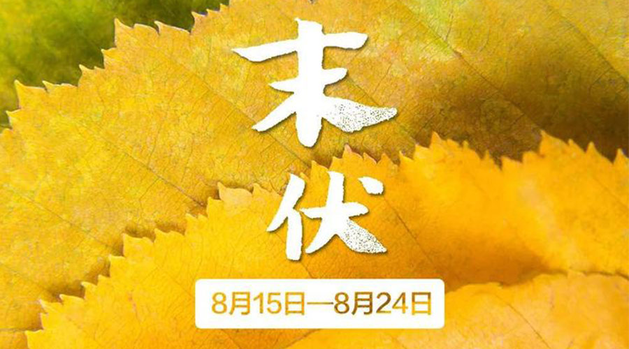 末伏時節(jié)！金環(huán)電器提醒你謹記這些注意事項