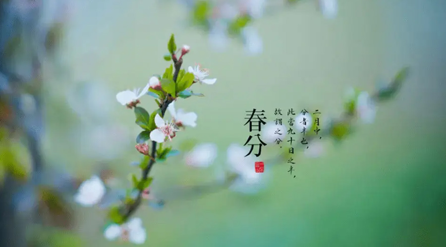 春分雨水多易生菌！金環(huán)電器提醒你衣物要注意處理
