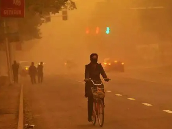 小型烘干機 小型烘干機