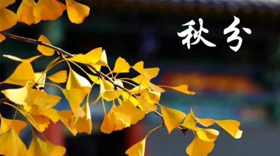 秋分時節(jié)！金環(huán)電器提醒大家要注意的事項
